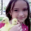 White Chinese Goslings