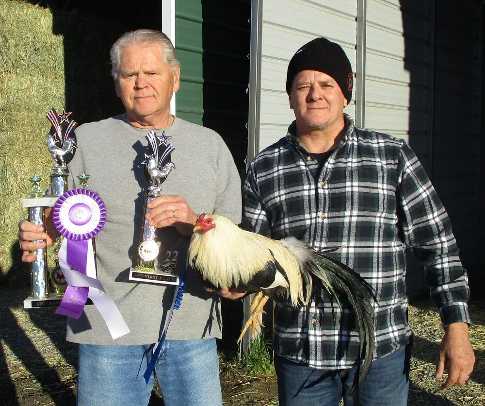 high-quality game fowls