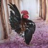 american serama chickens for sale
