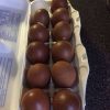 Black Copper Maram Eggs