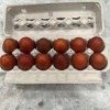 Black Copper Maram Eggs