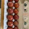 Black Copper Maram Eggs