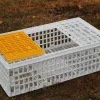 Low Cost Poultry Coop