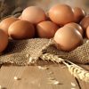 French Black Copper Marans Hatching Eggs