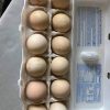 Sweater 5k-5000 Eggs