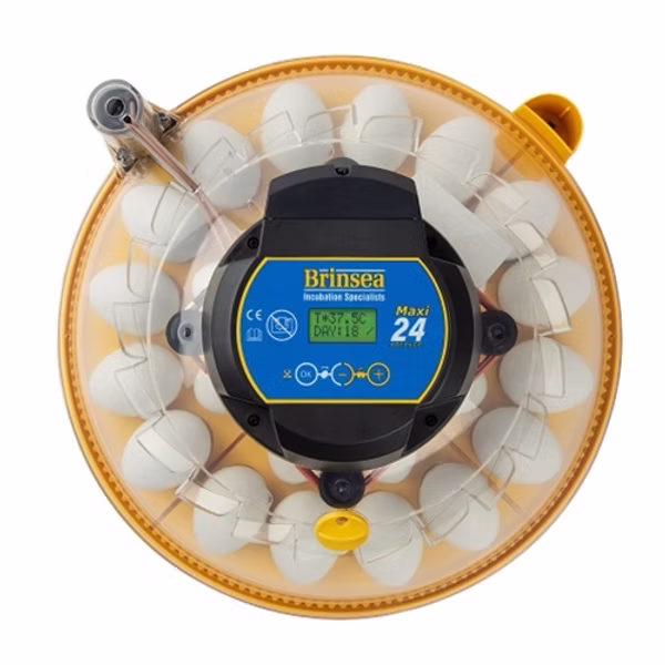 Buy the Brinsea Maxi 24 Advance egg incubator Buy the Brinsea Maxi 24 Advance egg incubator